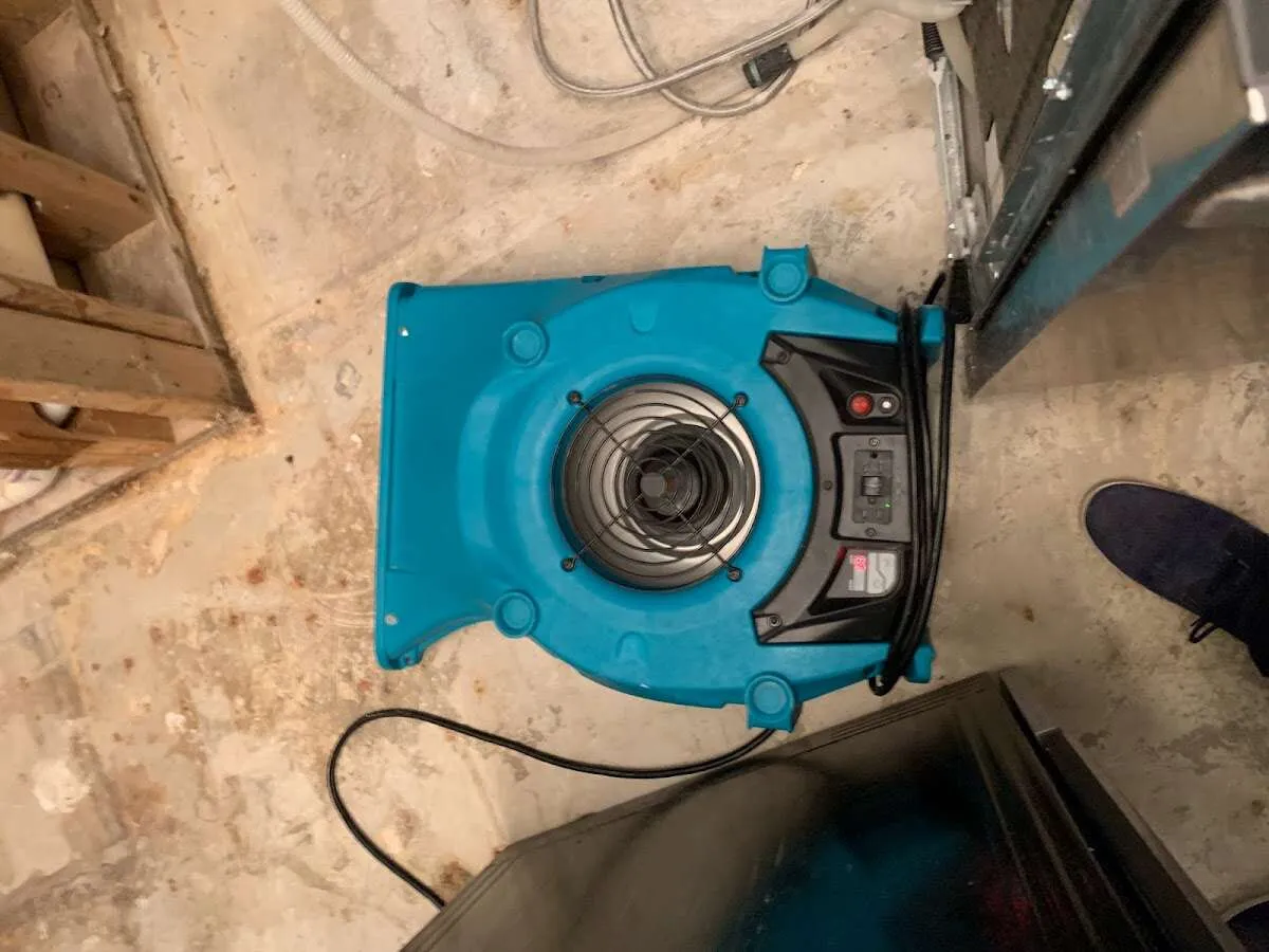 Air mover drying equipment for Mold Remediation & Removal in Mansfield
